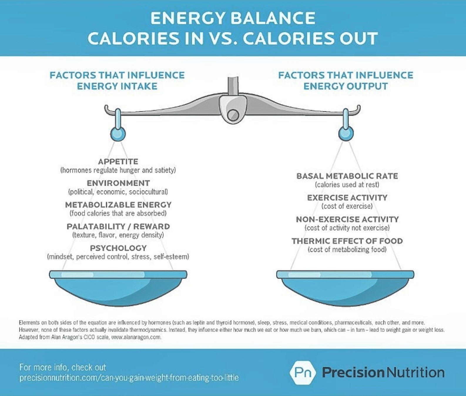 Energy Balance Calories in VS. Calories Out inforgraphic
