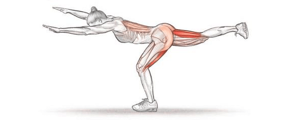 graphic of woman doing single-leg rdl 